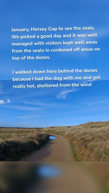 January, Horsey Gap to see the seals. We picked a good day and it was well managed with visitors kept well away from the seals in cordoned off areas on top of the dunes. I walked down here behind the dunes because I had the dog with me and got really hot, sheltered from the wind